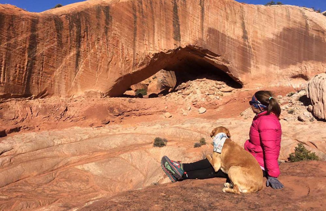 Hiking with your dog in the desert
